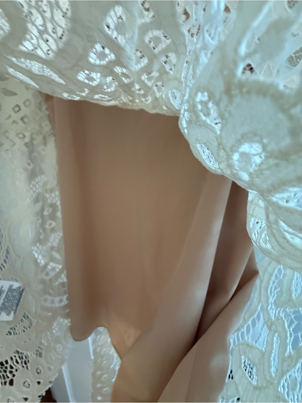 BCBGMaxAzria Cream Crochet Lace Dress - Picture 3 of 4